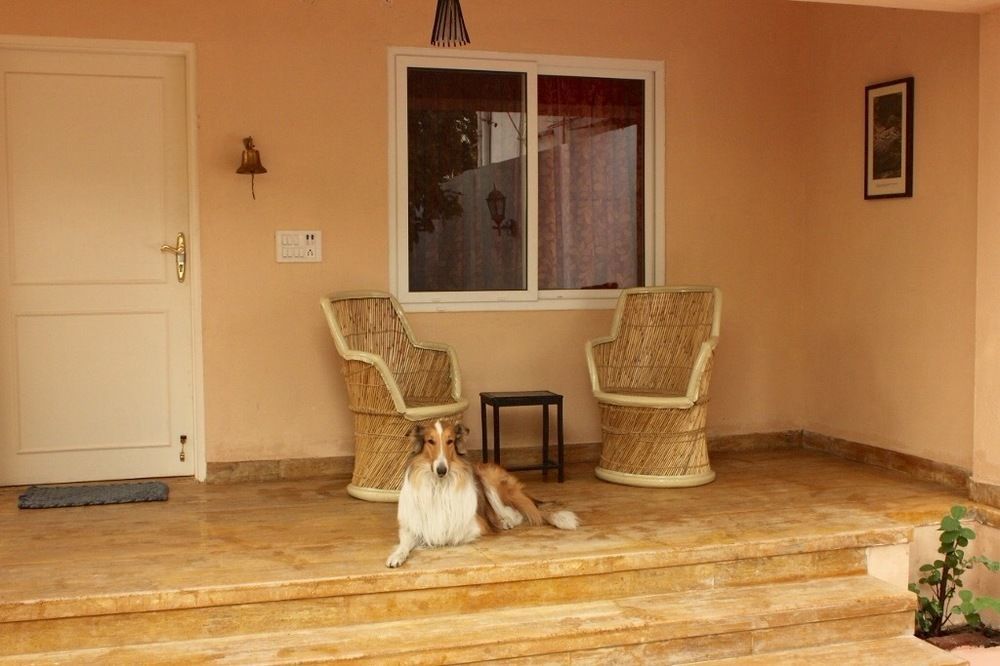 Pratap Bhawan Homestay Dźajpur Zewnętrze zdjęcie